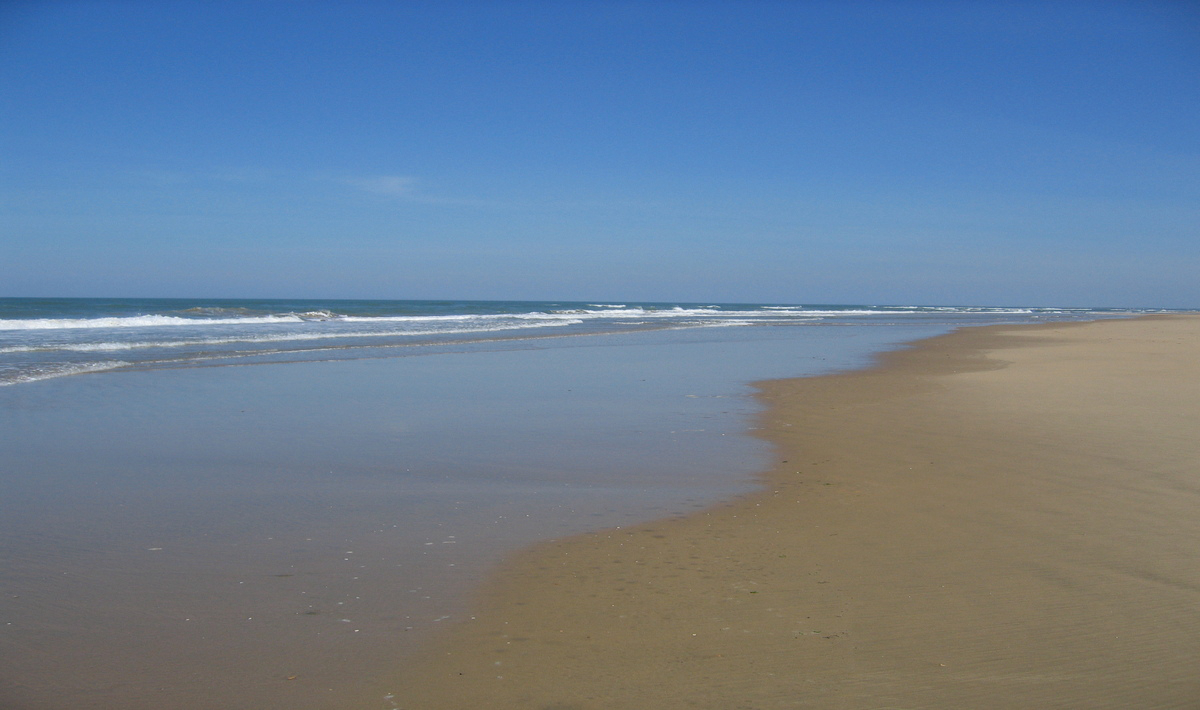 Les Charmettes Poitou-Charentes - Les Mathes-La Palmyre visuel 21/22