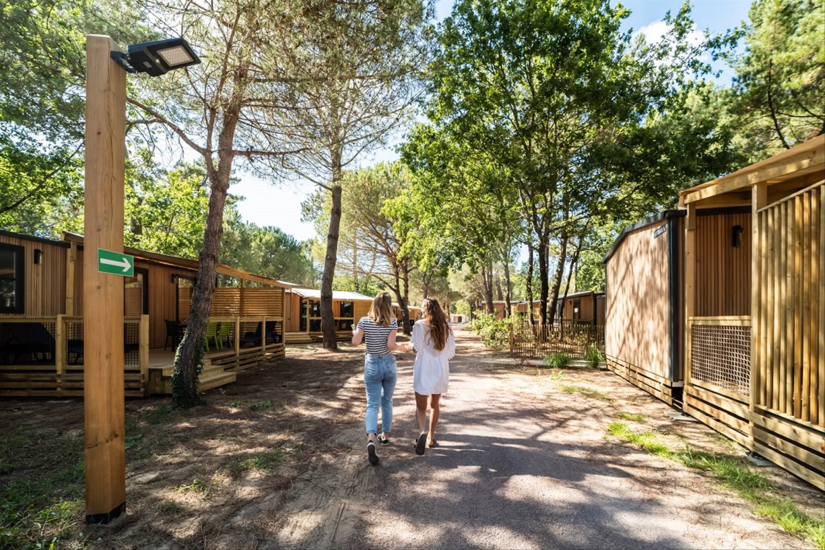 Les Couleurs de la Coubre Poitou-Charentes - Les Mathes-La Palmyre visuel 3/4
