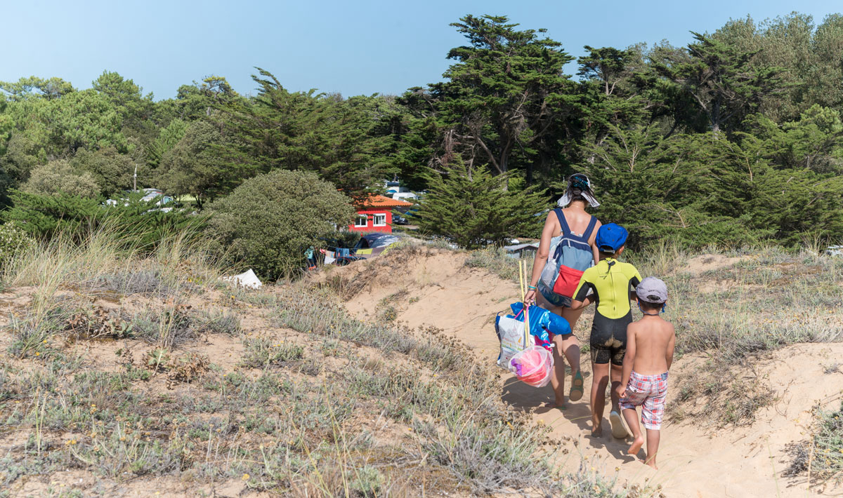Les Cyprès Países del Loira - Saint-Gilles-Croix-de-Vie visuel 17/17 Les Cyprès Países del Loira - Saint-Gilles-Croix-de-Vie visuel 17/17