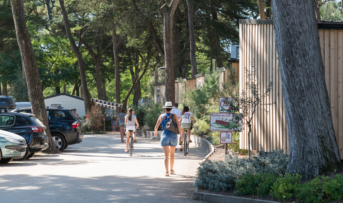 Les Cyprès Países del Loira - Saint-Gilles-Croix-de-Vie visuel 13/17 Les Cyprès Países del Loira - Saint-Gilles-Croix-de-Vie visuel 13/17