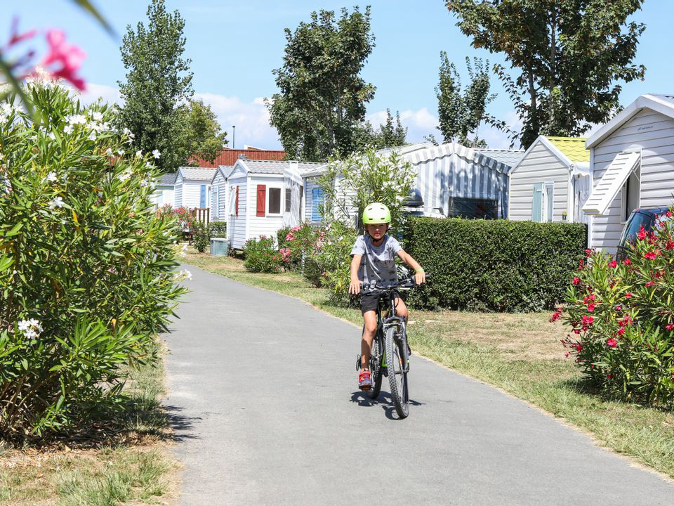 Les Dinosaures Países del Loira - Talmont-Saint-Hilaire visuel 16/18 Les Dinosaures Países del Loira - Talmont-Saint-Hilaire visuel 16/18