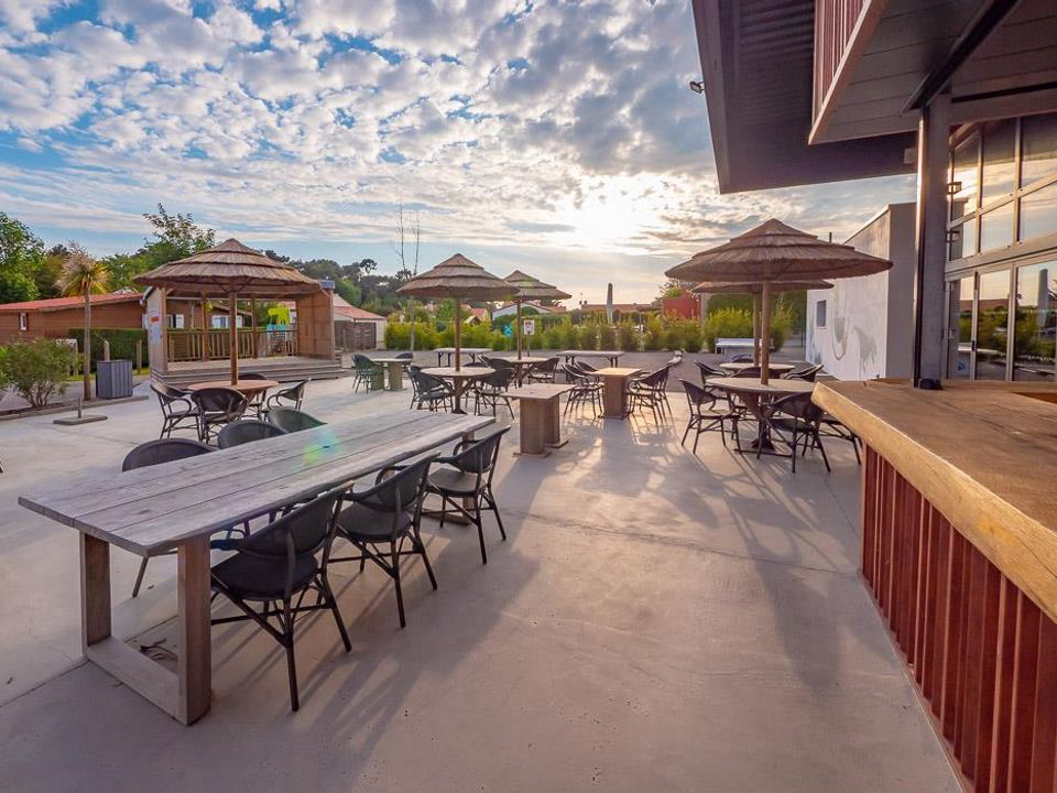 Les Dinosaures Países del Loira - Talmont-Saint-Hilaire visuel 8/18 Les Dinosaures Países del Loira - Talmont-Saint-Hilaire visuel 8/18