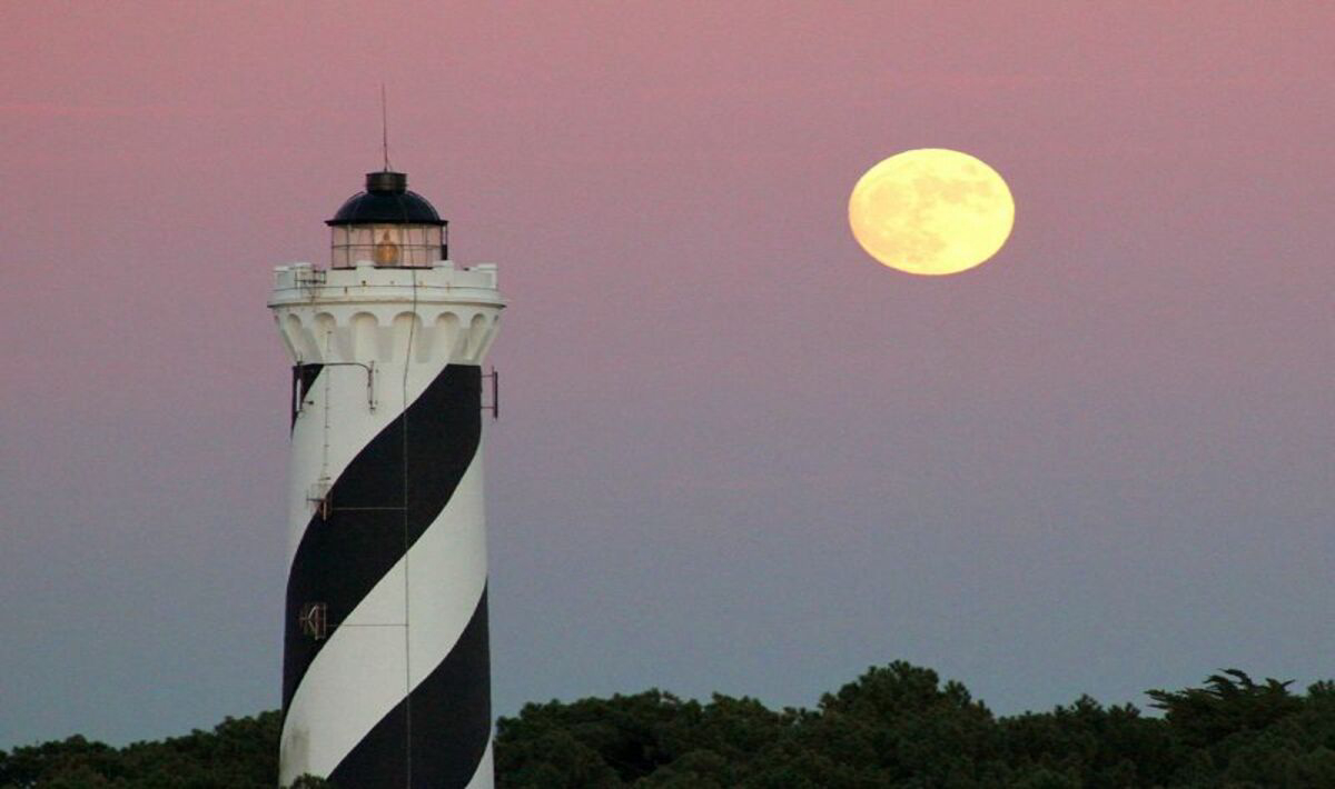 Les Dunes de Contis Aquitania - Saint-Julien-en-Born visuel 4/23