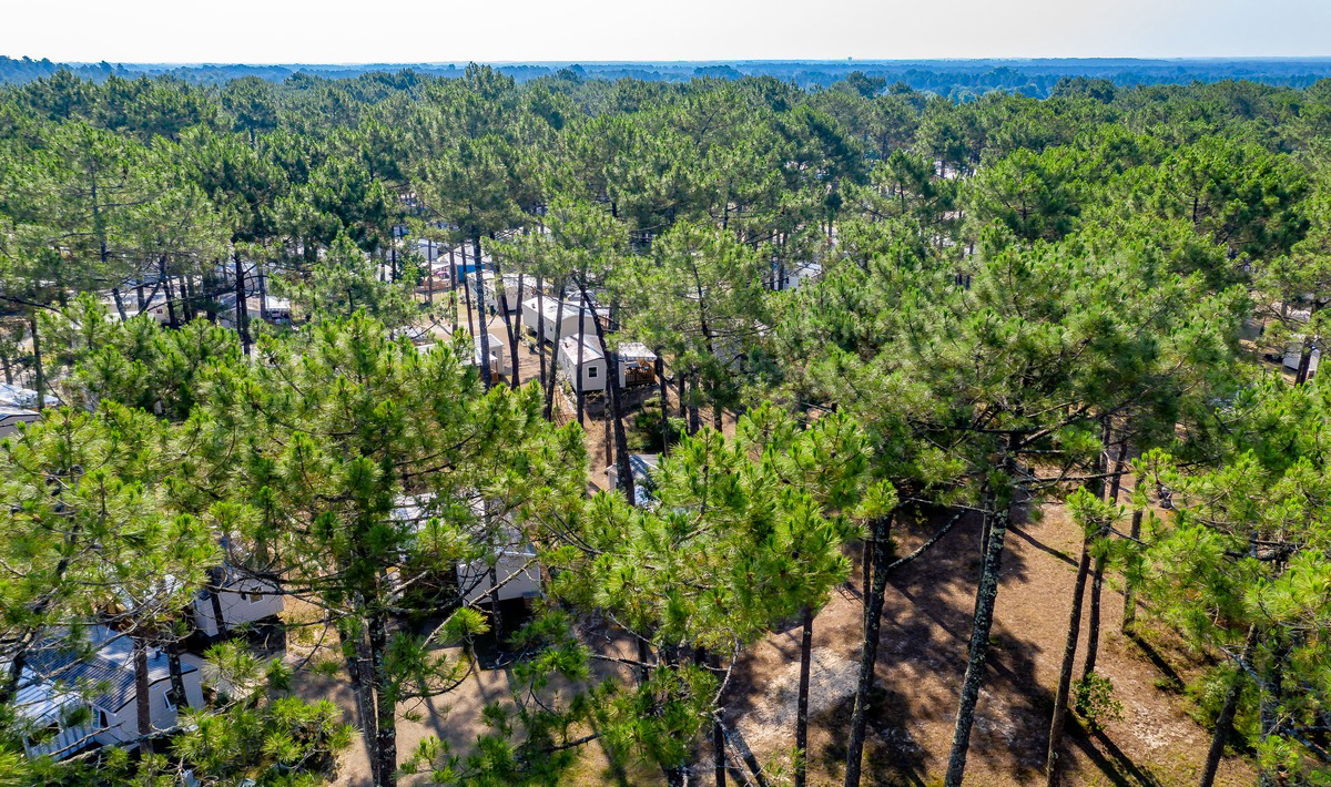 Les Dunes de Contis Aquitania - Saint-Julien-en-Born visuel 7/23