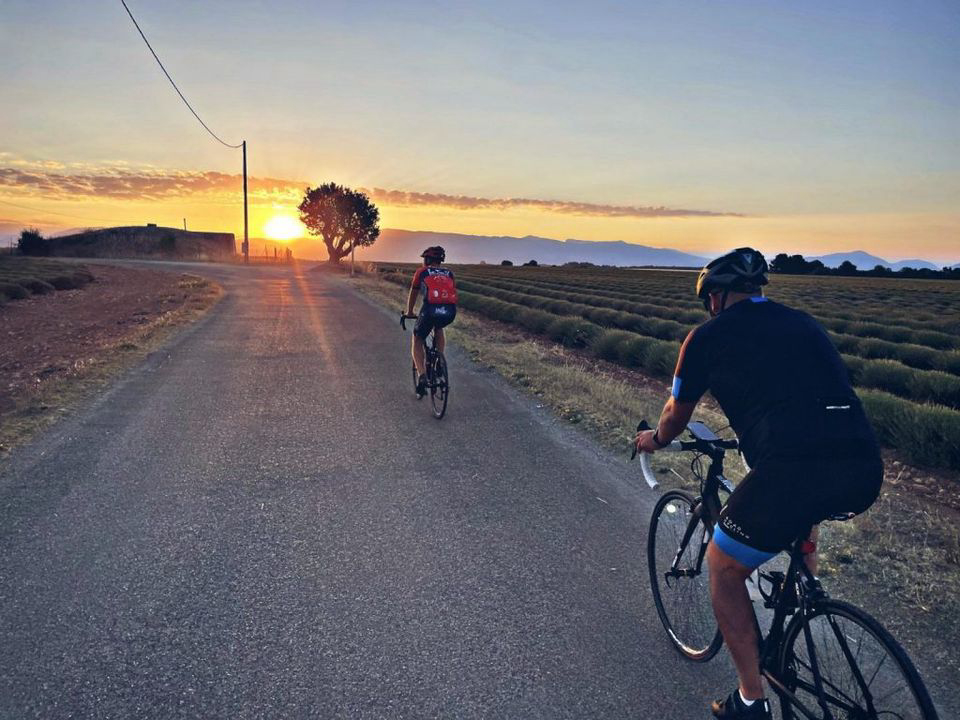 Les Lavandes Provenza-Alpes-Costa Azul - Valensole visuel 3/4 Les Lavandes Provenza-Alpes-Costa Azul - Valensole visuel 3/4