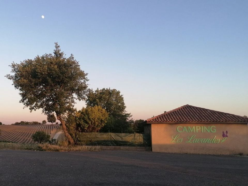 Les Lavandes Provenza-Alpes-Costa Azul - Valensole visuel 2/4 Les Lavandes Provenza-Alpes-Costa Azul - Valensole visuel 2/4