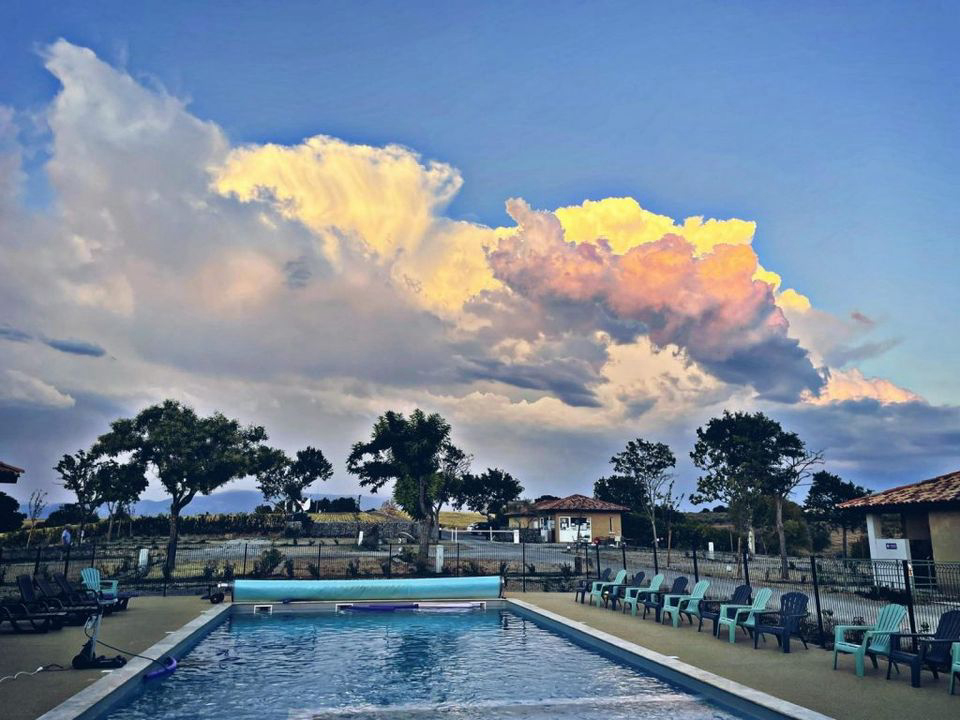 Les Lavandes Provenza-Alpes-Costa Azul - Valensole visuel 4/4 Les Lavandes Provenza-Alpes-Costa Azul - Valensole visuel 4/4