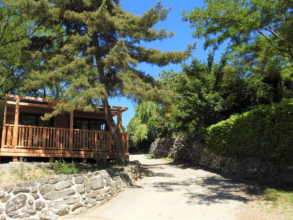 Les Lavandes Ródano-Alpes - Darbres visuel 5/14