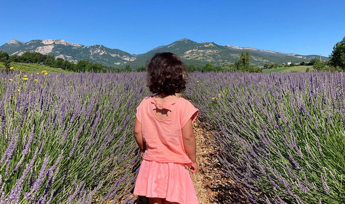 Les Myotis Provenza-Alpes-Costa Azul - Sisteron visuel 7/17 Les Myotis Provenza-Alpes-Costa Azul - Sisteron visuel 7/17