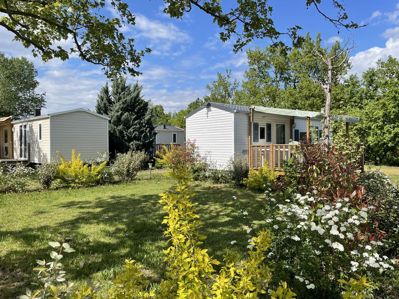 Les Myotis Provenza-Alpes-Costa Azul - Sisteron visuel 1/17 Les Myotis Provenza-Alpes-Costa Azul - Sisteron visuel 1/17