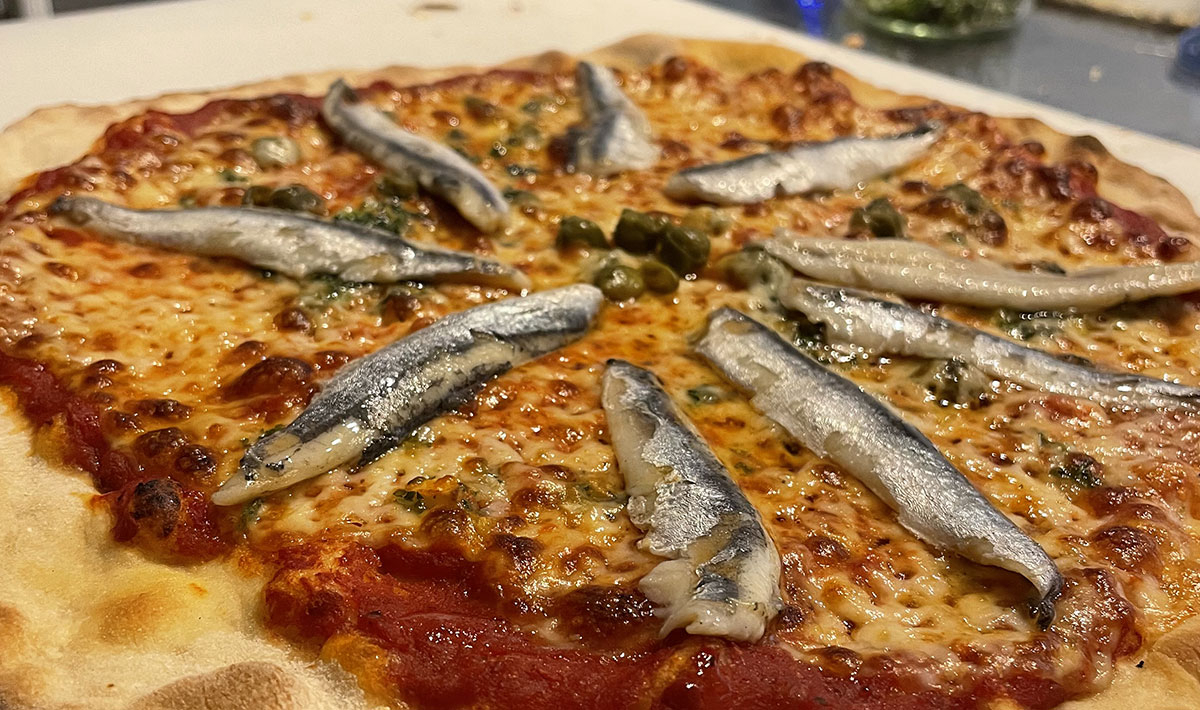 Les Myotis Provenza-Alpes-Costa Azul - Sisteron visuel 11/17 Les Myotis Provenza-Alpes-Costa Azul - Sisteron visuel 11/17