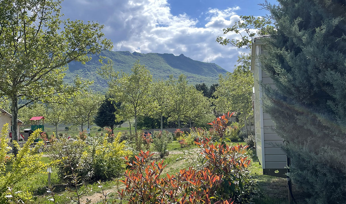 Les Myotis Provenza-Alpes-Costa Azul - Sisteron visuel 9/17 Les Myotis Provenza-Alpes-Costa Azul - Sisteron visuel 9/17