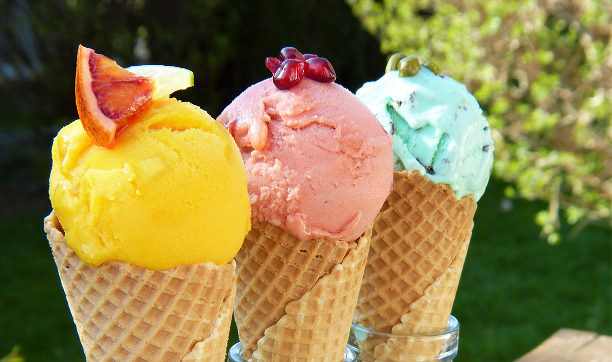 Les Myotis Provenza-Alpes-Costa Azul - Sisteron visuel 2/17 Les Myotis Provenza-Alpes-Costa Azul - Sisteron visuel 2/17