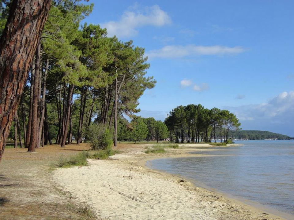 Les Petits Ecureuils Aquitania - Biscarrosse visuel 4/4