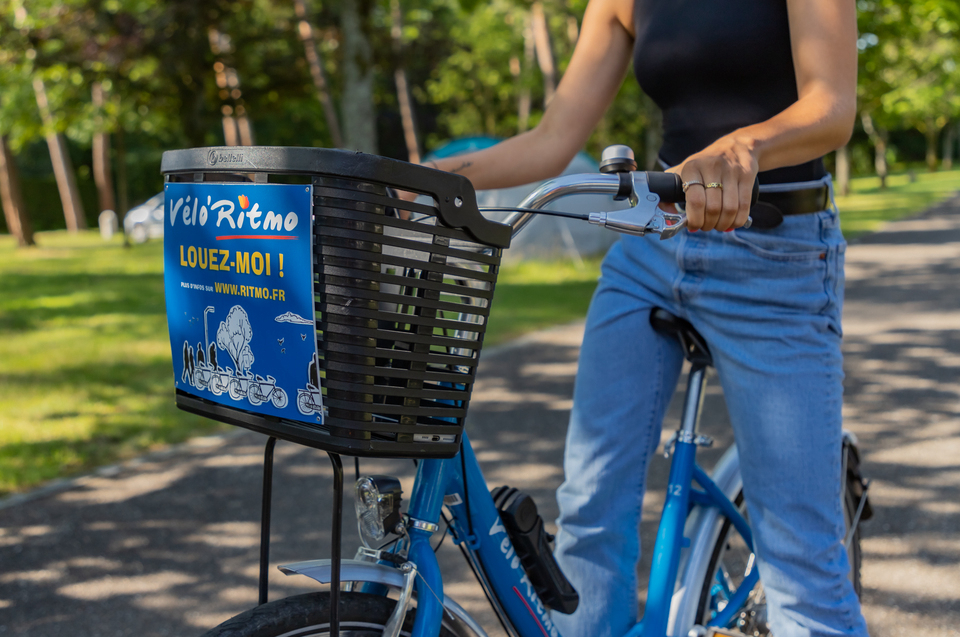 Les Pins Alsacia - null visuel 6/6