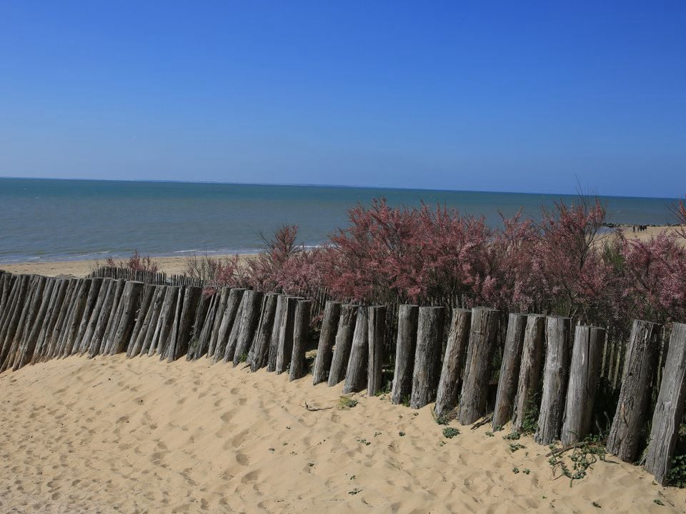Les Préveils Países del Loira - La Tranche-sur-Mer visuel 7/7 Les Préveils Países del Loira - La Tranche-sur-Mer visuel 7/7