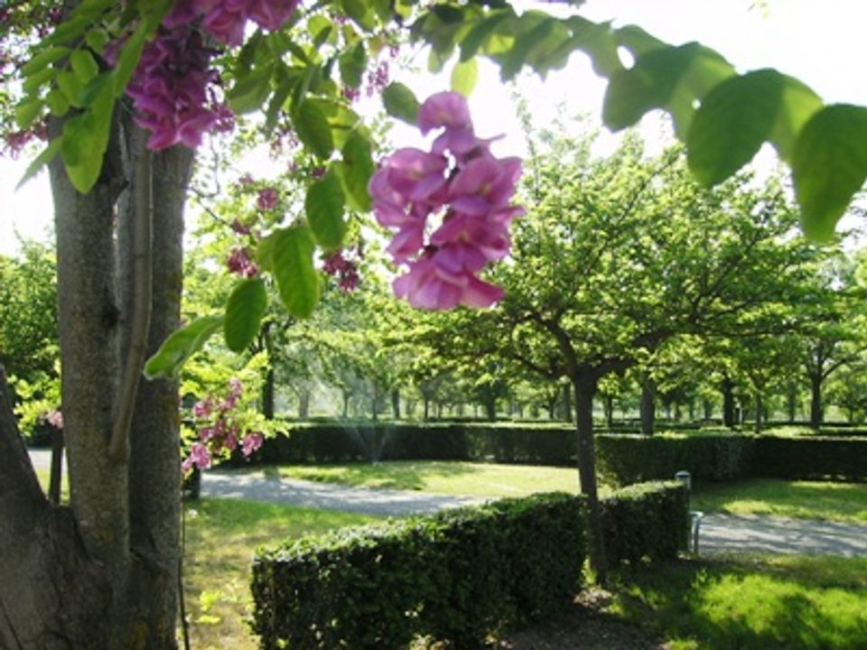 La Meuse Languedoc-Rosellón - Gignac visuel 5/7 La Meuse Languedoc-Rosellón - Gignac visuel 5/7