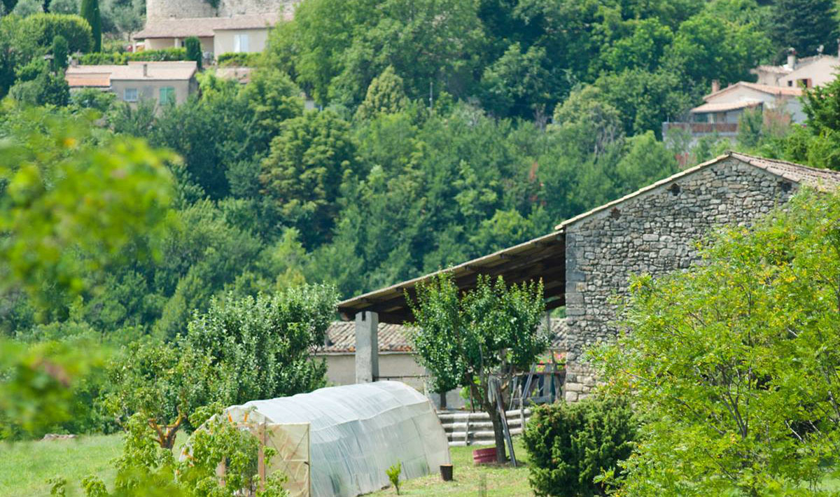 Les Routes de Provence Provenza-Alpes-Costa Azul - Forcalquier visuel 8/9