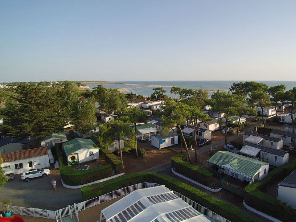 Les Violettes Países del Loira - La Faute-sur-Mer visuel 6/12 Les Violettes Países del Loira - La Faute-sur-Mer visuel 6/12