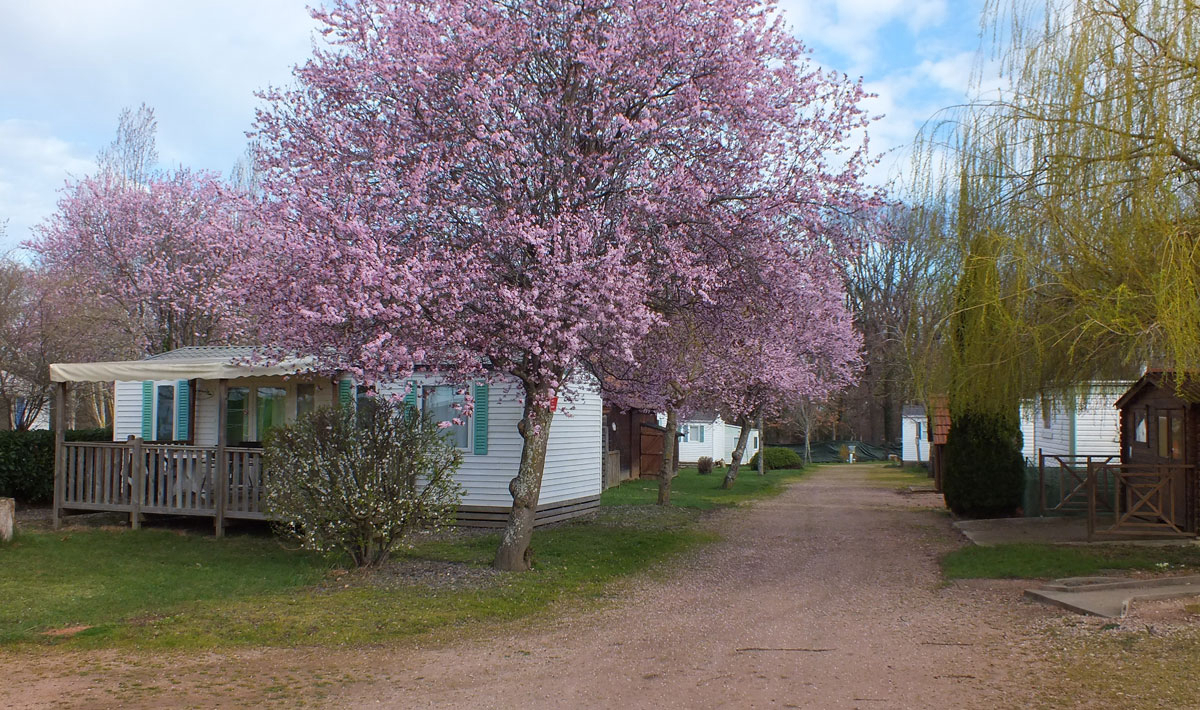 Libertin La Roseraie Auvernia - Brugheas visuel 6/11