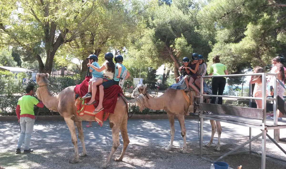 Marina Plage Provenza-Alpes-Costa Azul - Vitrolles visuel 28/29