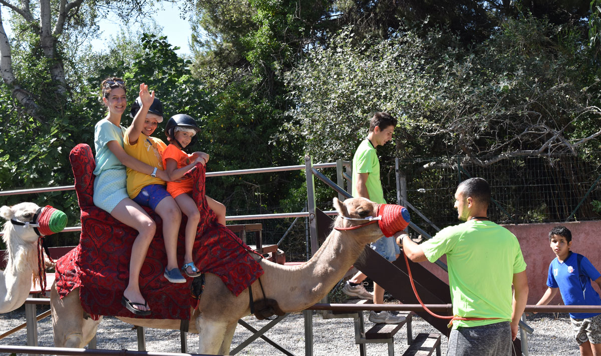 Marina Plage Provenza-Alpes-Costa Azul - Vitrolles visuel 6/29