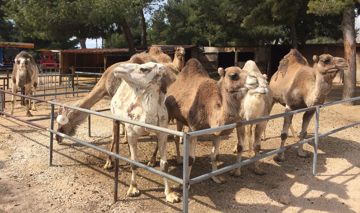 Marina Plage Provenza-Alpes-Costa Azul - Vitrolles visuel 25/29