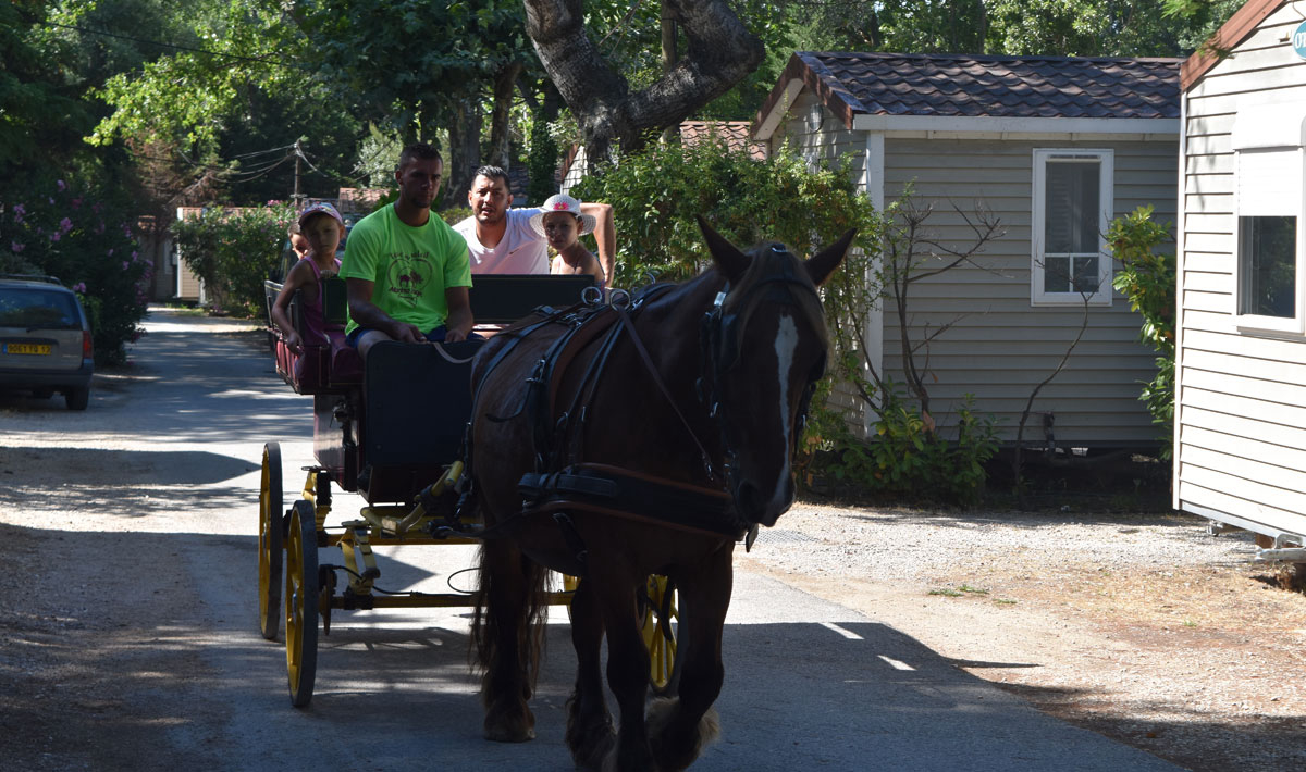 Marina Plage Provenza-Alpes-Costa Azul - Vitrolles visuel 10/29
