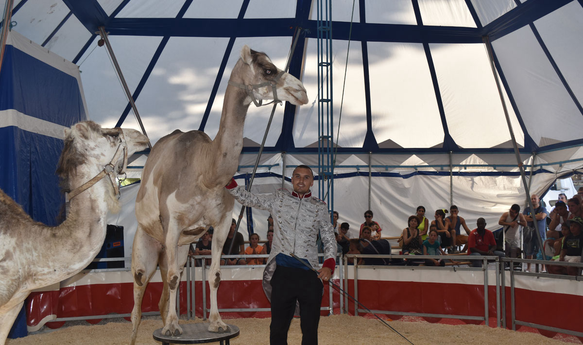 Marina Plage Provenza-Alpes-Costa Azul - Vitrolles visuel 12/29