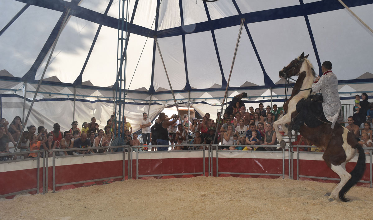 Marina Plage Provenza-Alpes-Costa Azul - Vitrolles visuel 5/29