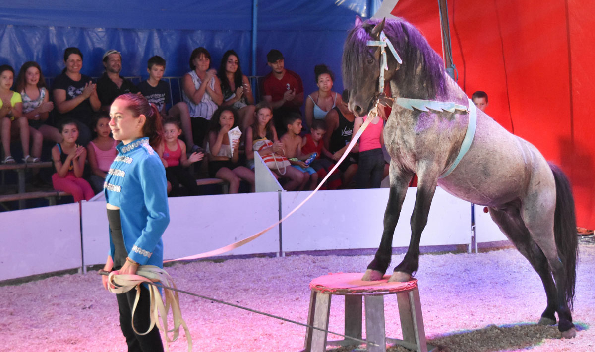 Marina Plage Provenza-Alpes-Costa Azul - Vitrolles visuel 8/29