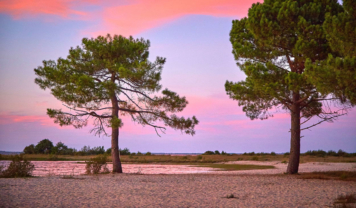 Mayotte Vacances Aquitania - Biscarrosse visuel 32/39