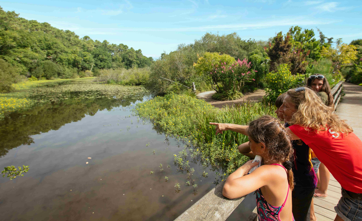 Mimizan Lac Aquitania - Mimizan visuel 5/10
