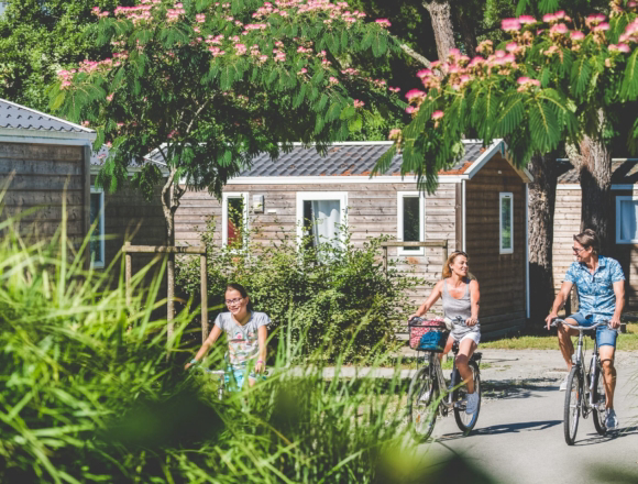 Nantes Camping Países del Loira - Nantes visuel 7/11 Nantes Camping Países del Loira - Nantes visuel 7/11