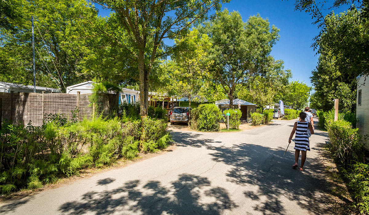 Oléron Loisirs Poitou-Charentes - Saint-Georges-d'Oléron visuel 20/39 Oléron Loisirs Poitou-Charentes - Saint-Georges-d'Oléron visuel 20/39