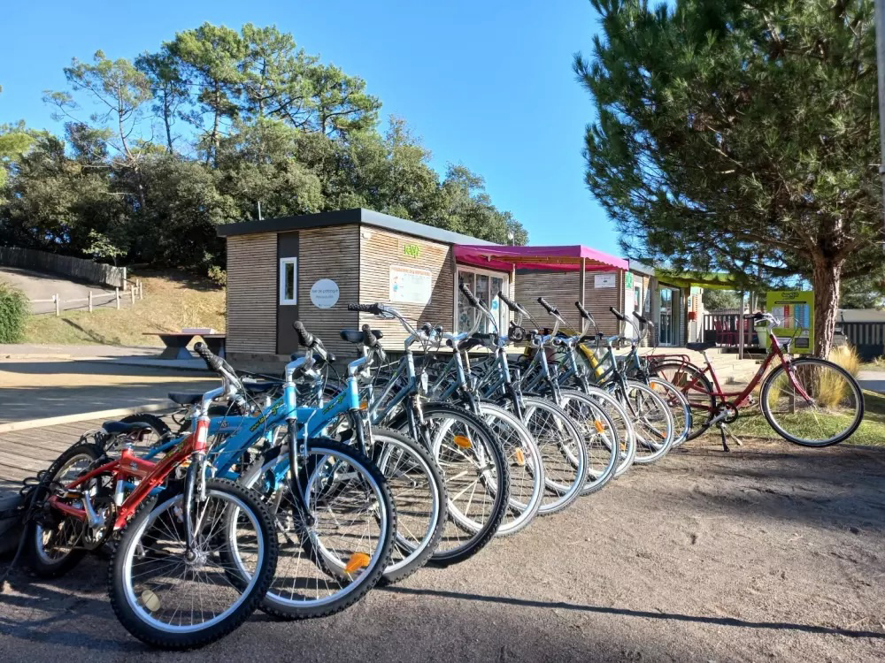 Parfums d'été Países del Loira - Jard-sur-Mer visuel 13/13