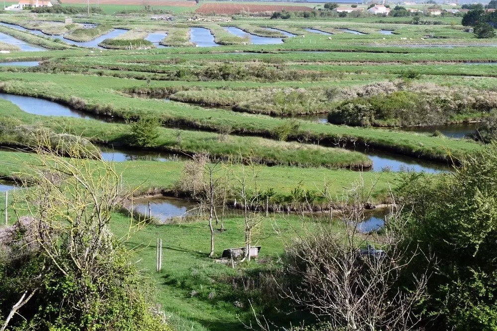 Parfums d'été Países del Loira - Jard-sur-Mer visuel 8/13