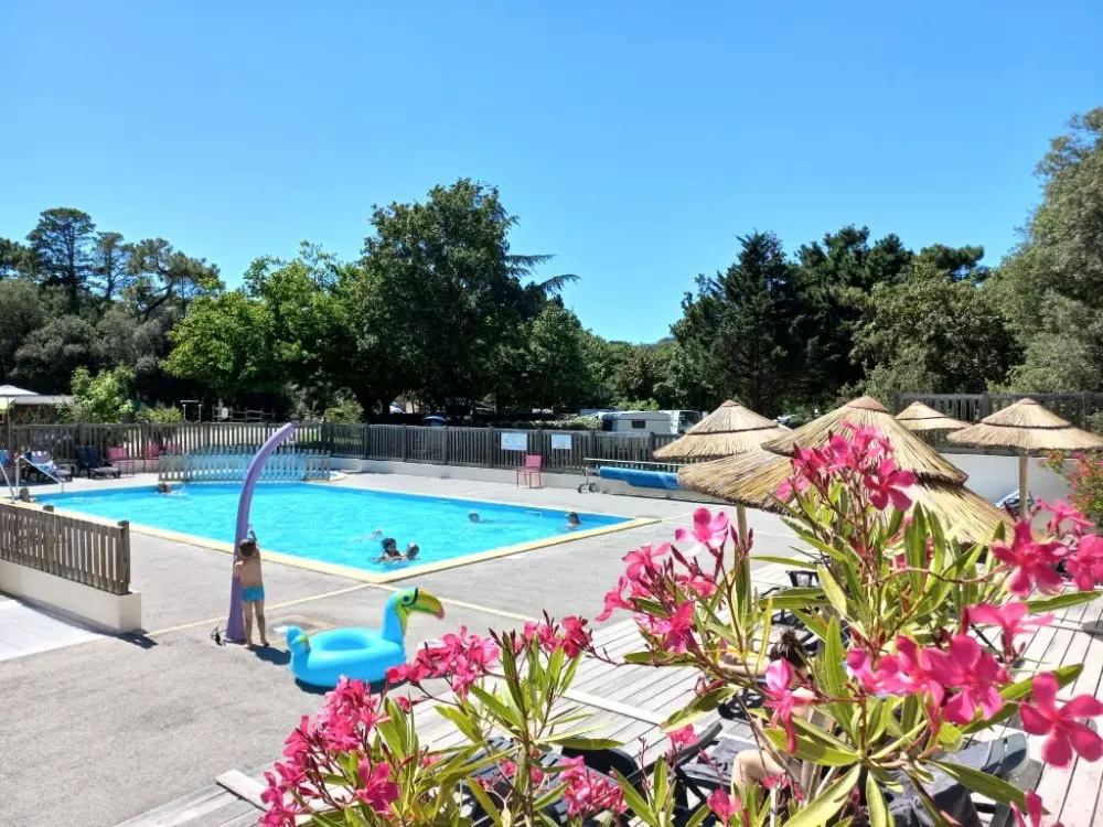 Parfums d'été Países del Loira - Jard-sur-Mer visuel 2/13