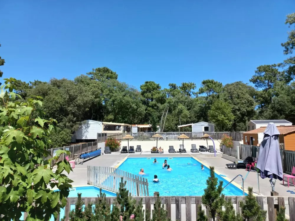 Parfums d'été Países del Loira - Jard-sur-Mer visuel 3/13