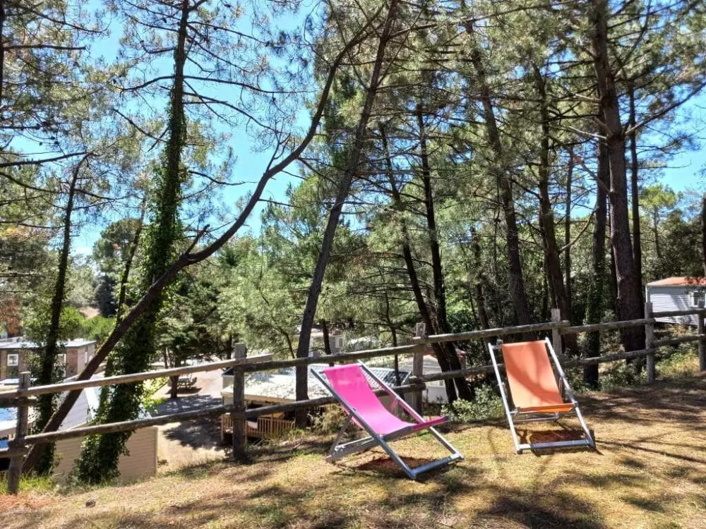 Parfums d'été Países del Loira - Jard-sur-Mer visuel 12/13