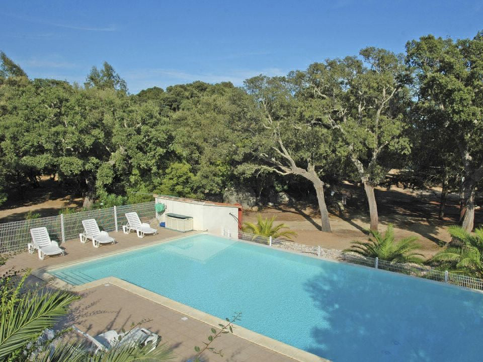 Pezza Cardo Córcega - Porto-Vecchio visuel 1/7 Pezza Cardo Córcega - Porto-Vecchio visuel 1/7