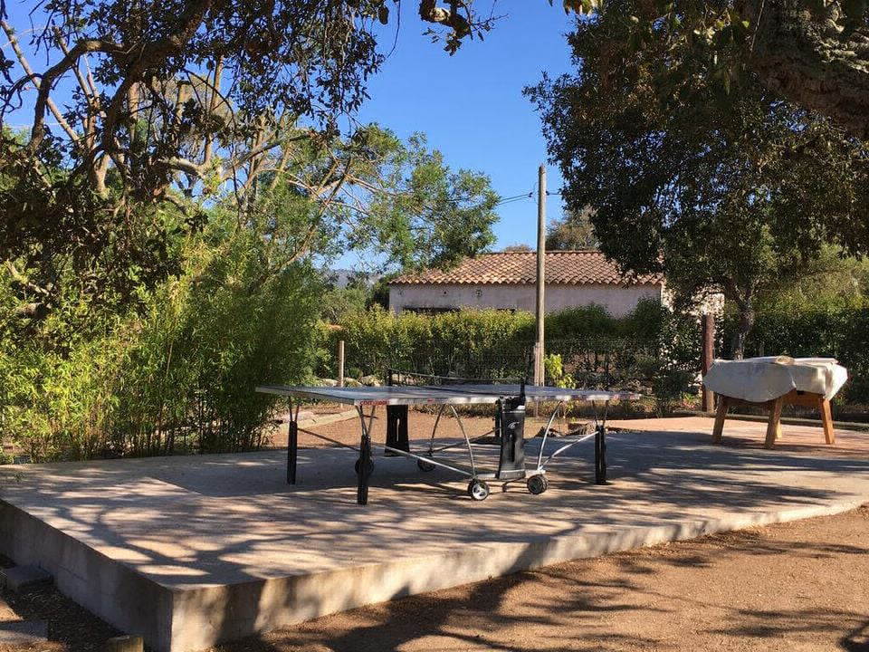 Pezza Cardo Córcega - Porto-Vecchio visuel 2/7 Pezza Cardo Córcega - Porto-Vecchio visuel 2/7