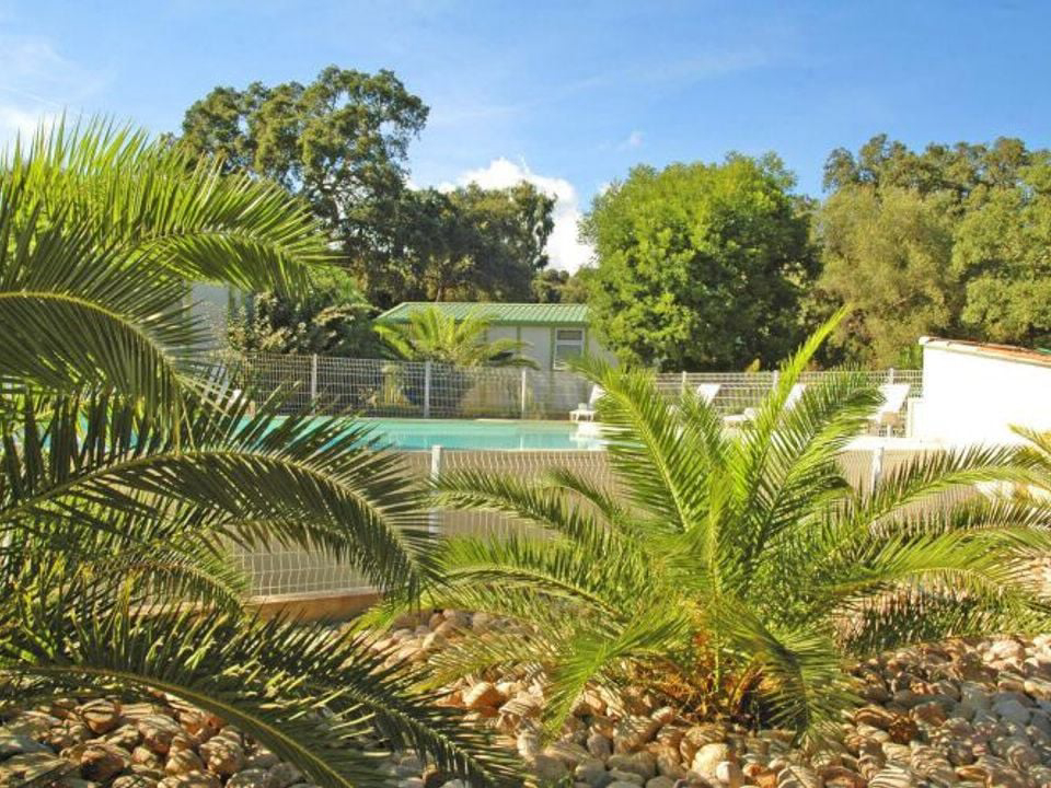 Pezza Cardo Córcega - Porto-Vecchio visuel 7/7 Pezza Cardo Córcega - Porto-Vecchio visuel 7/7