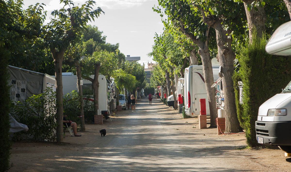 Playa Cambrils Costa Dorada - Cambrils visuel 25/43