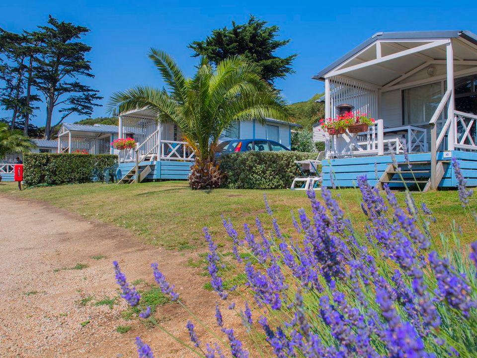 Port l'Epine Bretaña - Trélévern visuel 4/7