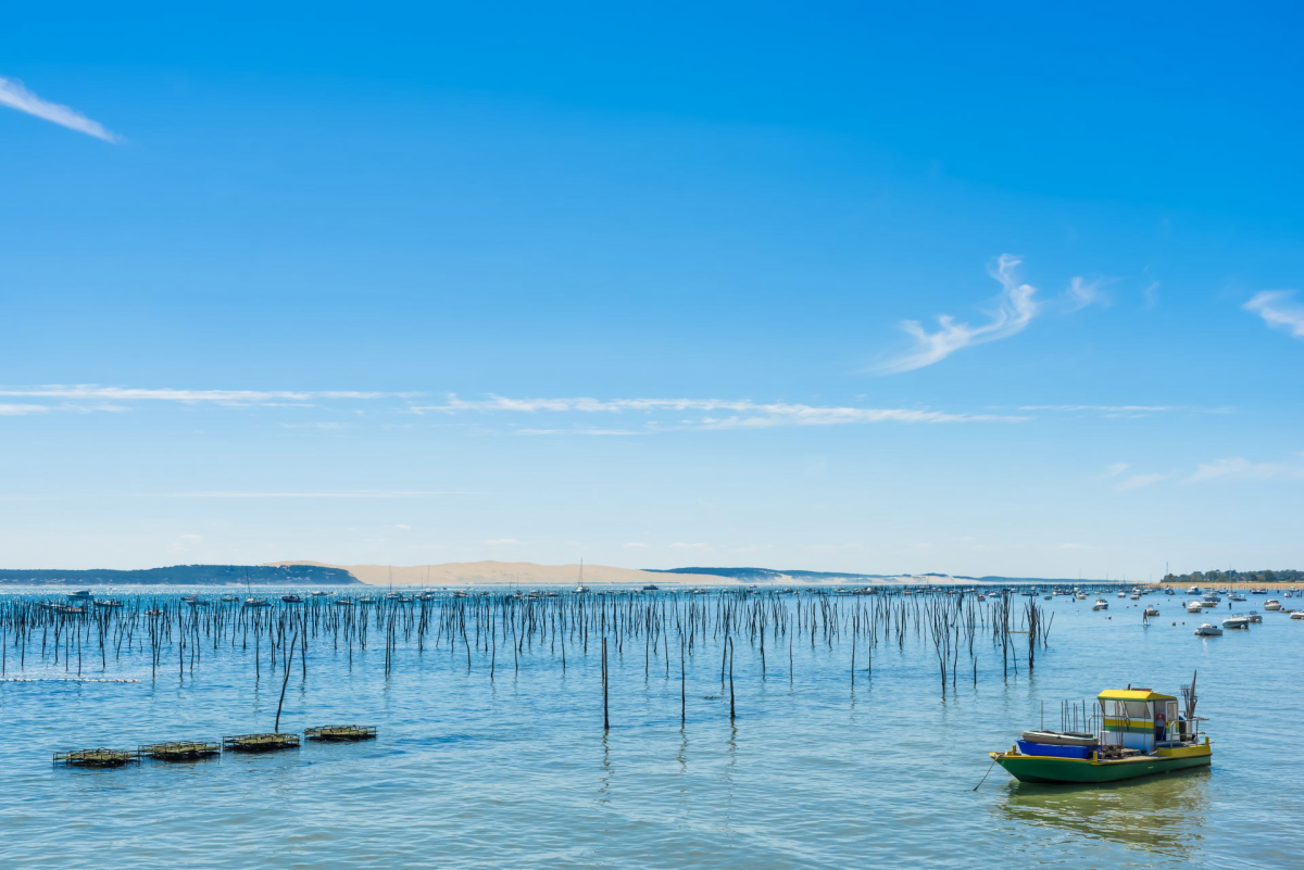 Camping MS Le Pyla 4* Aquitania - Pyla sur Mer visuel 20/20