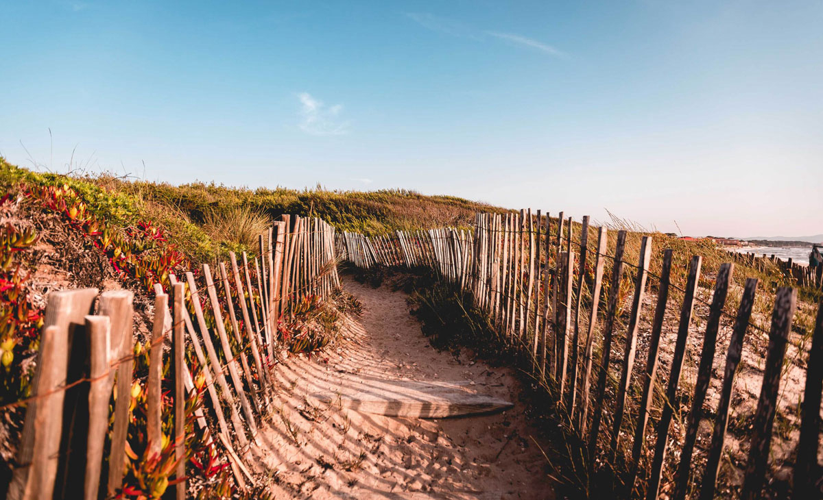 Salines Provenza-Alpes-Costa Azul - Giens visuel 11/16