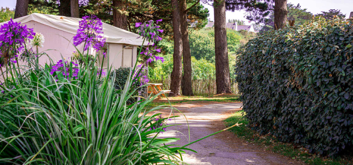 Camping de l'Océan Bretaña - Le Palais visuel 7/19