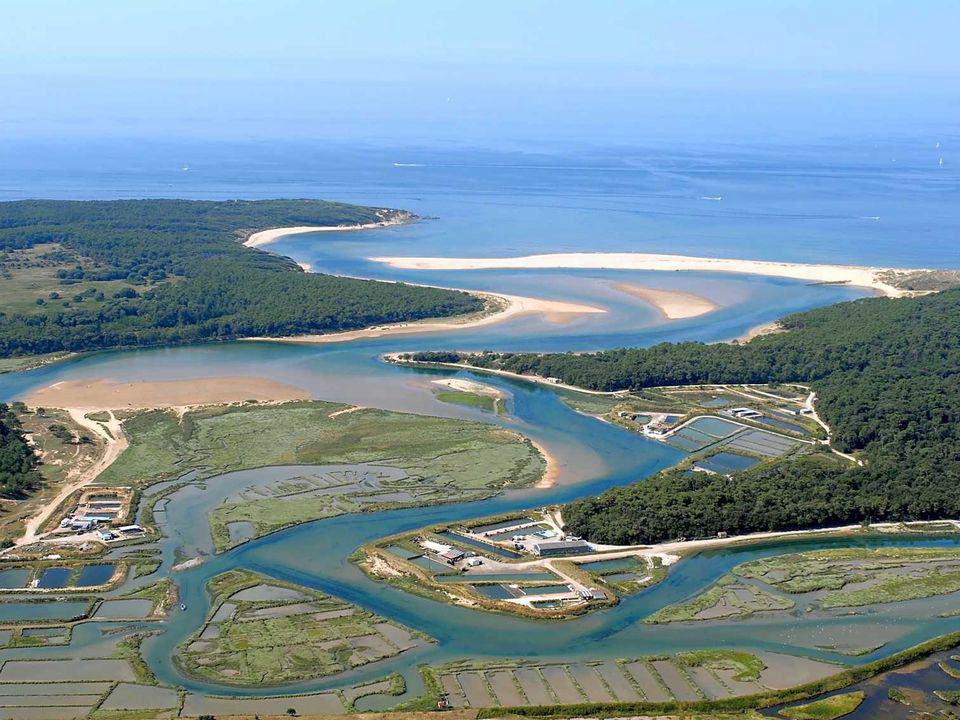 Sun Océan Países del Loira - Talmont-Saint-Hilaire visuel 11/21 Sun Océan Países del Loira - Talmont-Saint-Hilaire visuel 11/21