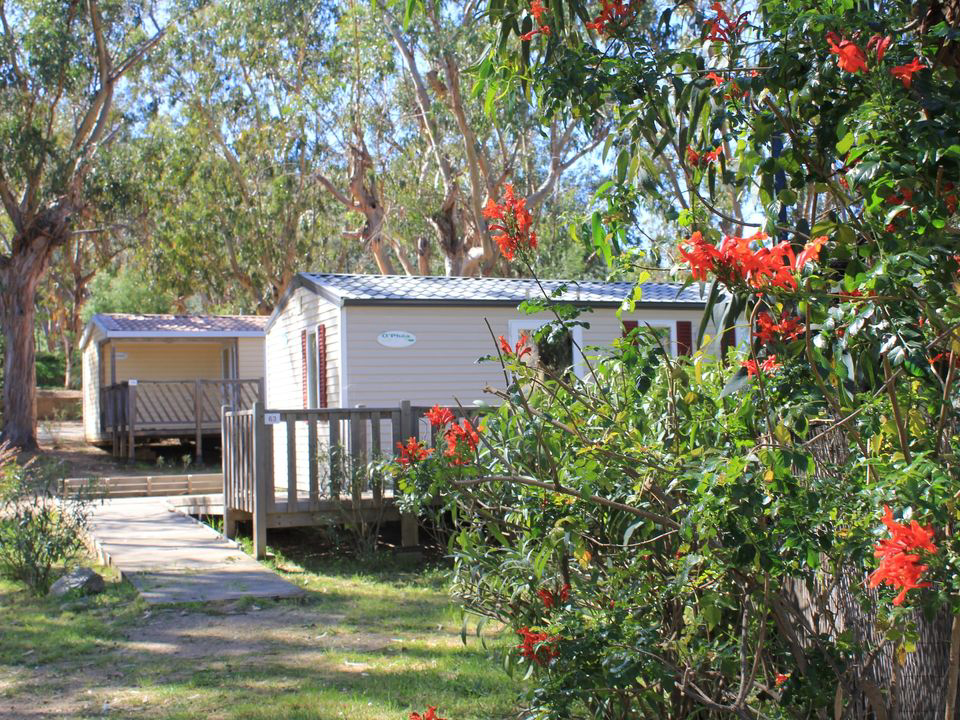 U Pezzo Córcega - Saint-Florent visuel 6/13